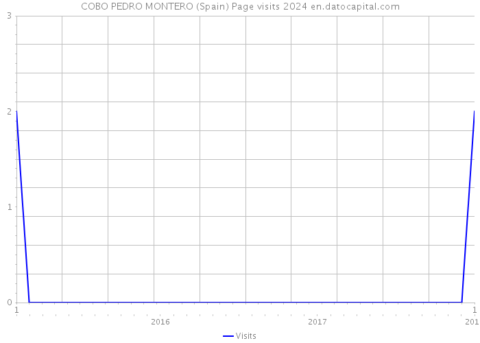 COBO PEDRO MONTERO (Spain) Page visits 2024 