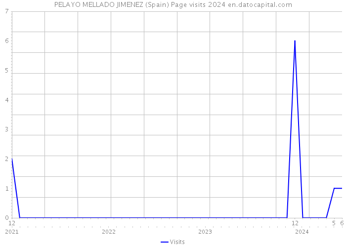 PELAYO MELLADO JIMENEZ (Spain) Page visits 2024 