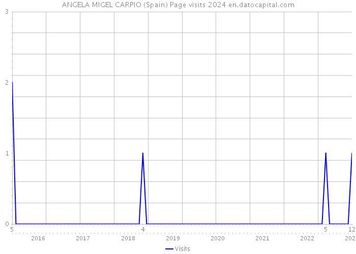 ANGELA MIGEL CARPIO (Spain) Page visits 2024 