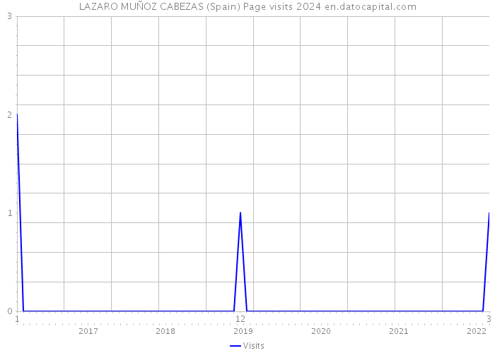 LAZARO MUÑOZ CABEZAS (Spain) Page visits 2024 