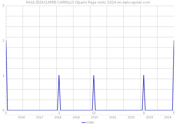 RAUL EIZAGUIRRE CARRILLO (Spain) Page visits 2024 