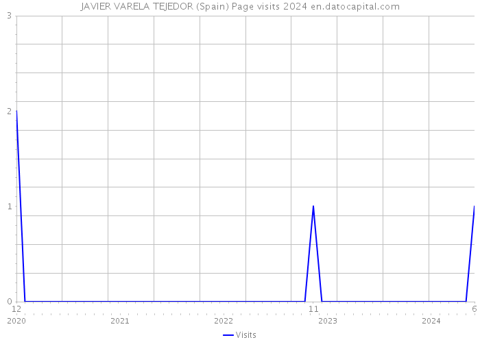 JAVIER VARELA TEJEDOR (Spain) Page visits 2024 