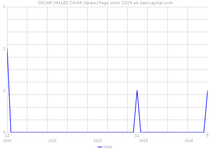 OSCAR VALLES CAVIA (Spain) Page visits 2024 