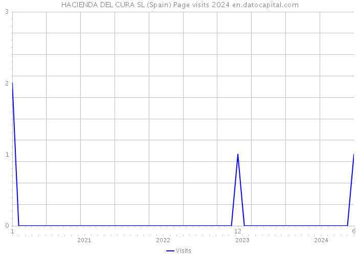  HACIENDA DEL CURA SL (Spain) Page visits 2024 