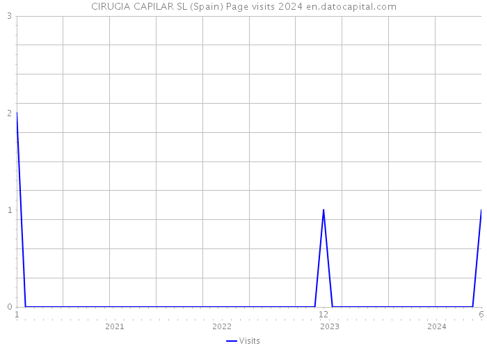 CIRUGIA CAPILAR SL (Spain) Page visits 2024 