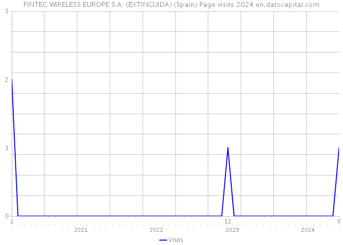 FINTEC WIRELESS EUROPE S.A. (EXTINGUIDA) (Spain) Page visits 2024 