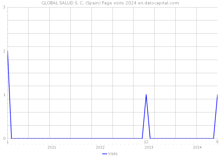 GLOBAL SALUD S. C. (Spain) Page visits 2024 