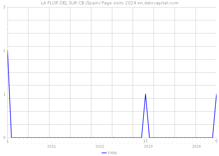 LA FLOR DEL SUR CB (Spain) Page visits 2024 