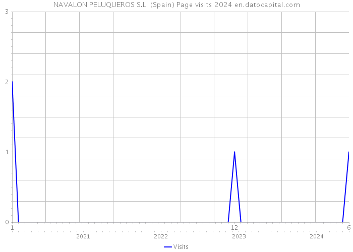 NAVALON PELUQUEROS S.L. (Spain) Page visits 2024 