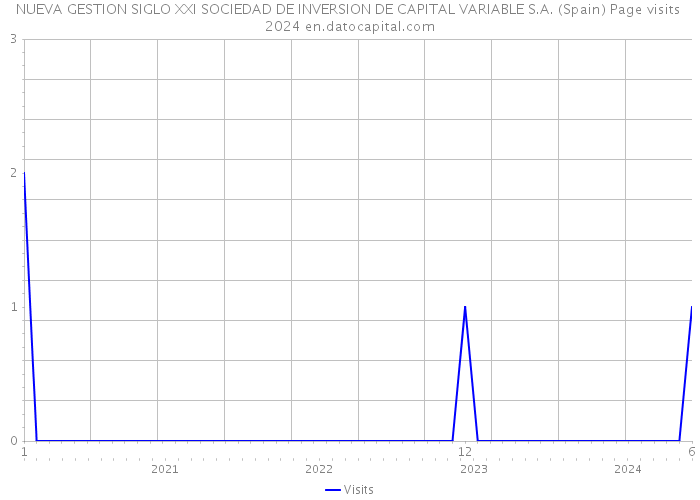 NUEVA GESTION SIGLO XXI SOCIEDAD DE INVERSION DE CAPITAL VARIABLE S.A. (Spain) Page visits 2024 