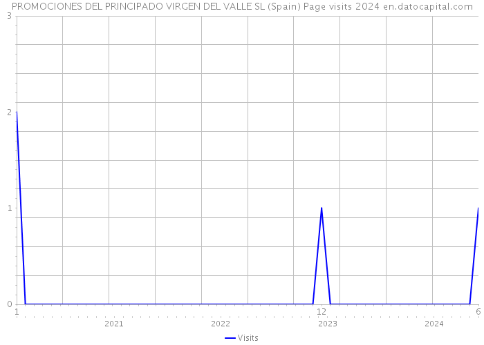 PROMOCIONES DEL PRINCIPADO VIRGEN DEL VALLE SL (Spain) Page visits 2024 