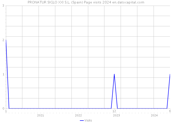 PRONATUR SIGLO XXI S.L. (Spain) Page visits 2024 