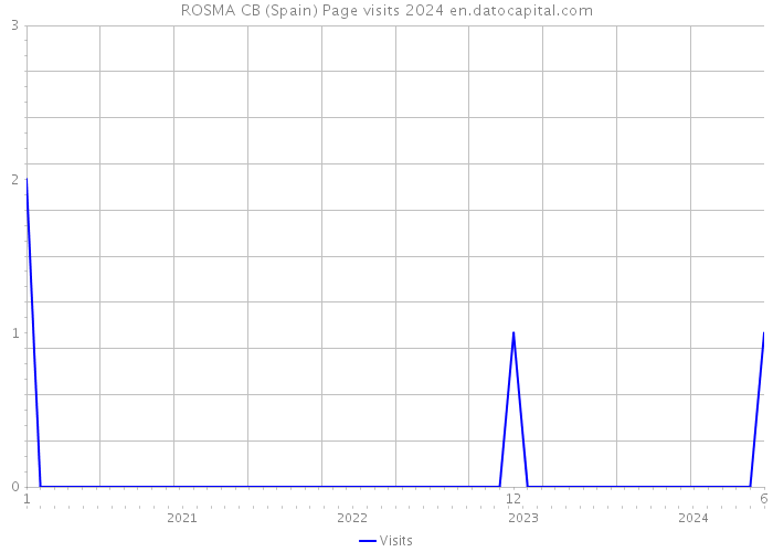 ROSMA CB (Spain) Page visits 2024 