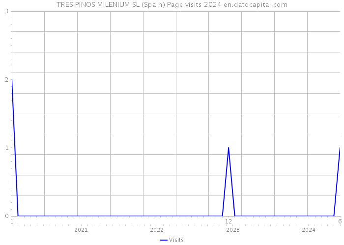 TRES PINOS MILENIUM SL (Spain) Page visits 2024 