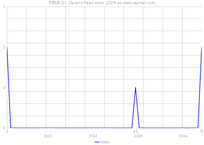 FIBUR S.I. (Spain) Page visits 2024 