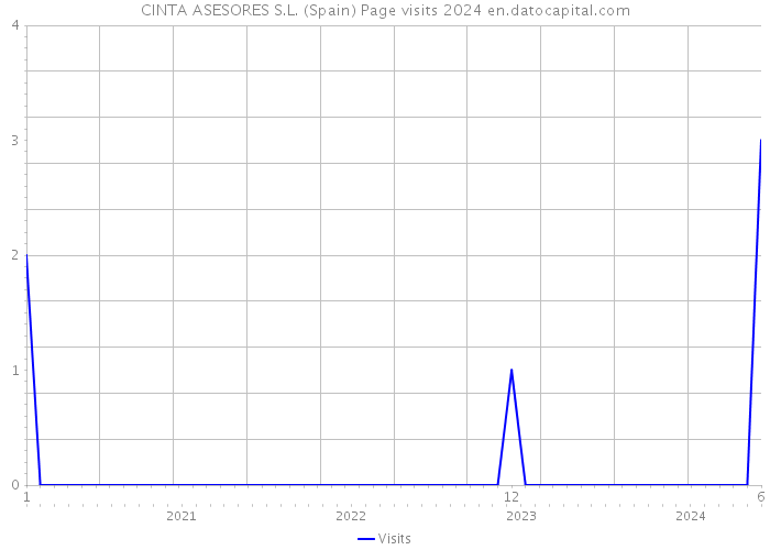 CINTA ASESORES S.L. (Spain) Page visits 2024 