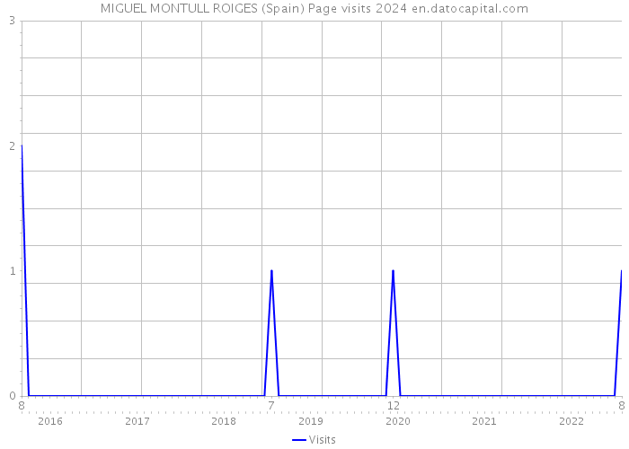 MIGUEL MONTULL ROIGES (Spain) Page visits 2024 