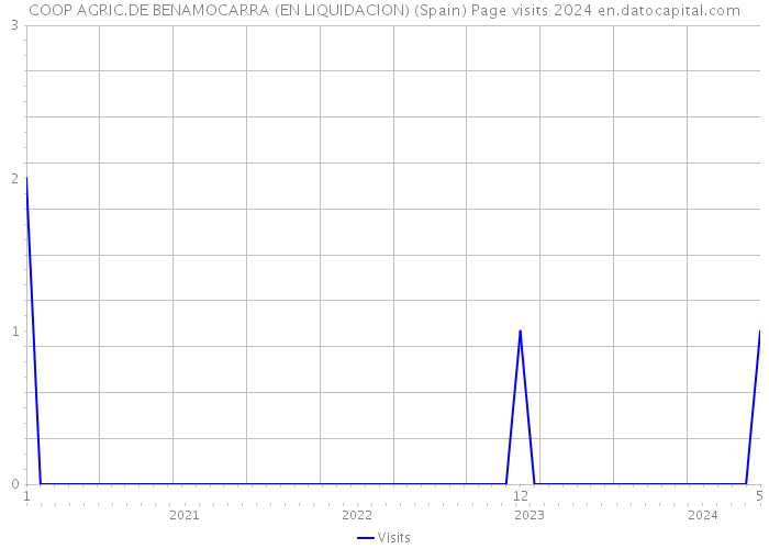 COOP AGRIC.DE BENAMOCARRA (EN LIQUIDACION) (Spain) Page visits 2024 