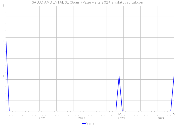 SALUD AMBIENTAL SL (Spain) Page visits 2024 