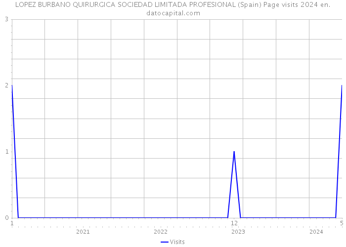 LOPEZ BURBANO QUIRURGICA SOCIEDAD LIMITADA PROFESIONAL (Spain) Page visits 2024 