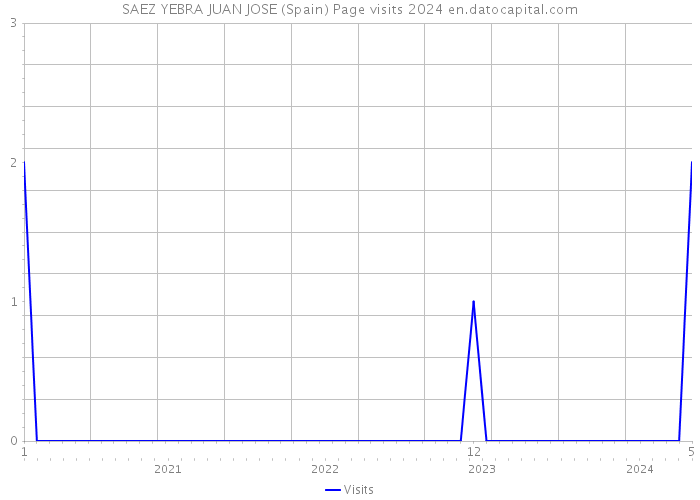 SAEZ YEBRA JUAN JOSE (Spain) Page visits 2024 