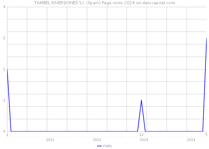 TAMBEL INVERSIONES S.I. (Spain) Page visits 2024 