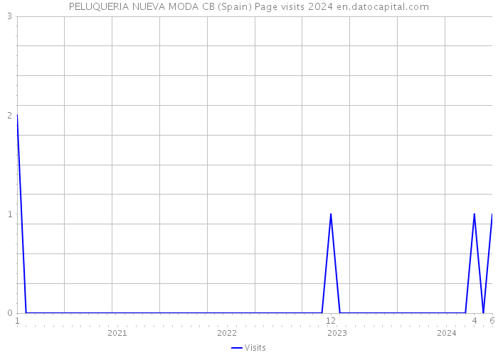 PELUQUERIA NUEVA MODA CB (Spain) Page visits 2024 