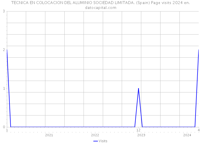 TECNICA EN COLOCACION DEL ALUMINIO SOCIEDAD LIMITADA. (Spain) Page visits 2024 