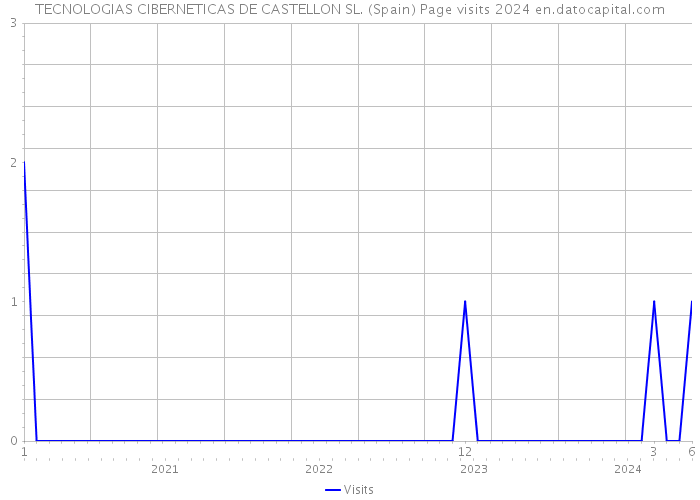 TECNOLOGIAS CIBERNETICAS DE CASTELLON SL. (Spain) Page visits 2024 