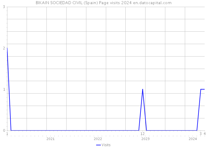 BIKAIN SOCIEDAD CIVIL (Spain) Page visits 2024 