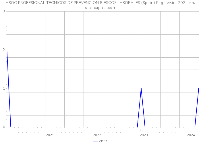 ASOC PROFESIONAL TECNICOS DE PREVENCION RIESGOS LABORALES (Spain) Page visits 2024 