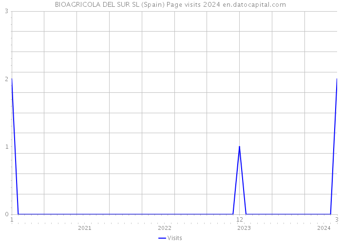BIOAGRICOLA DEL SUR SL (Spain) Page visits 2024 