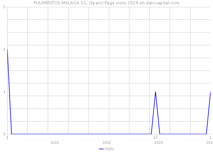 PULIMENTOS MALAGA S.L. (Spain) Page visits 2024 