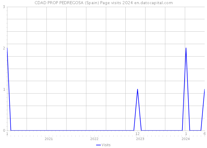 CDAD PROP PEDREGOSA (Spain) Page visits 2024 