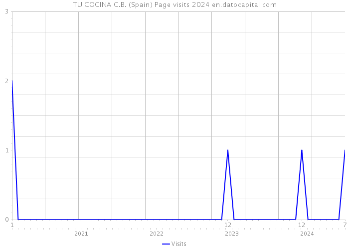 TU COCINA C.B. (Spain) Page visits 2024 