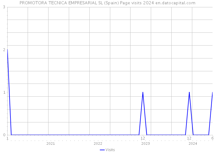 PROMOTORA TECNICA EMPRESARIAL SL (Spain) Page visits 2024 