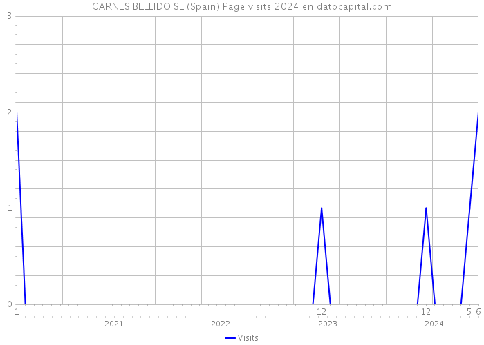 CARNES BELLIDO SL (Spain) Page visits 2024 
