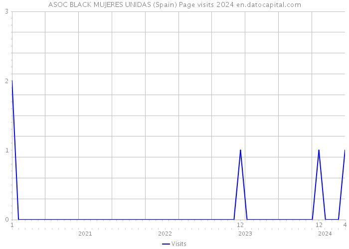 ASOC BLACK MUJERES UNIDAS (Spain) Page visits 2024 