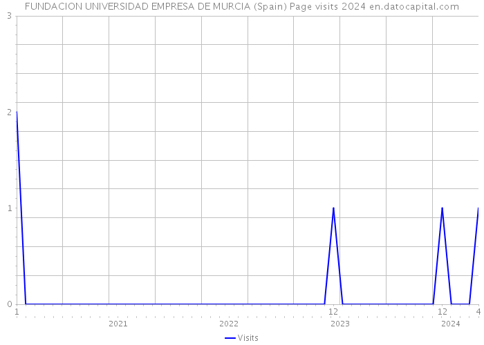 FUNDACION UNIVERSIDAD EMPRESA DE MURCIA (Spain) Page visits 2024 