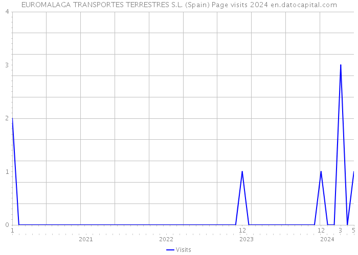 EUROMALAGA TRANSPORTES TERRESTRES S.L. (Spain) Page visits 2024 