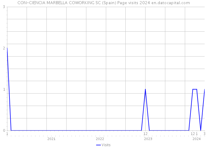 CON-CIENCIA MARBELLA COWORKING SC (Spain) Page visits 2024 