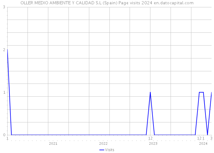 OLLER MEDIO AMBIENTE Y CALIDAD S.L (Spain) Page visits 2024 