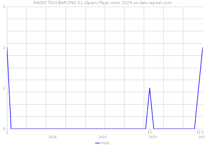 RADIO TAXI BARCINO S.L (Spain) Page visits 2024 