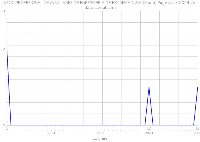 ASOC PROFESIONAL DE AUXILIARES DE ENFERMERIA DE EXTREMADURA (Spain) Page visits 2024 
