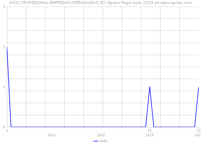 ASOC PROFESIONAL EMPRESAS OPERADORAS, EX (Spain) Page visits 2024 