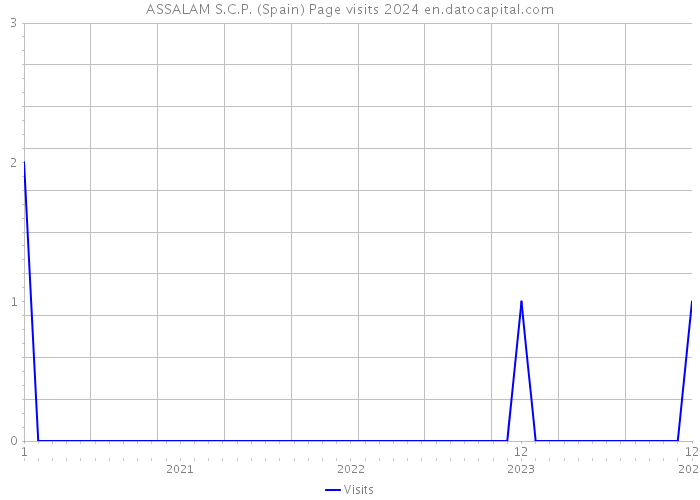 ASSALAM S.C.P. (Spain) Page visits 2024 