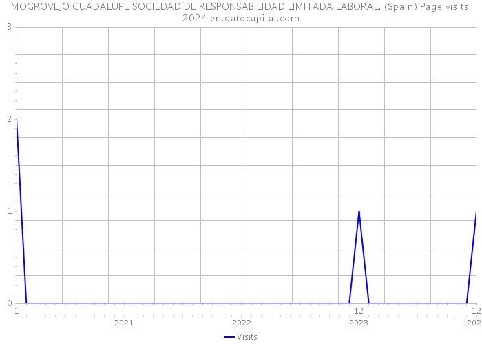 MOGROVEJO GUADALUPE SOCIEDAD DE RESPONSABILIDAD LIMITADA LABORAL. (Spain) Page visits 2024 