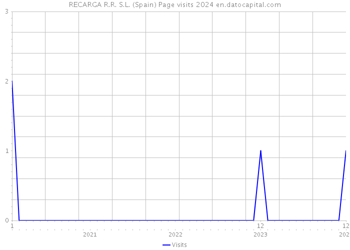 RECARGA R.R. S.L. (Spain) Page visits 2024 