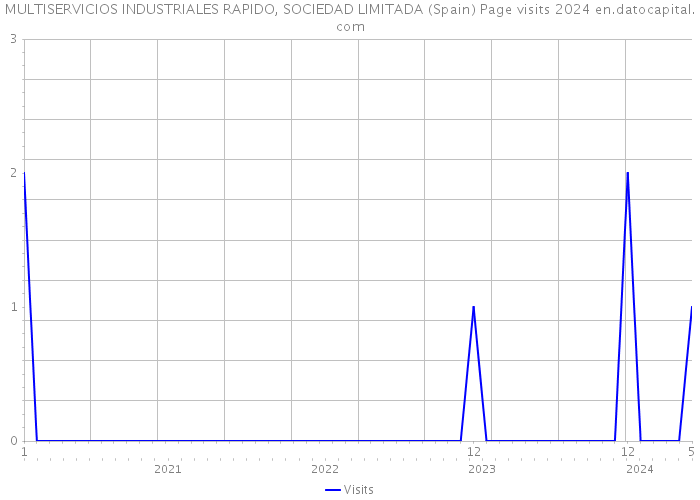 MULTISERVICIOS INDUSTRIALES RAPIDO, SOCIEDAD LIMITADA (Spain) Page visits 2024 