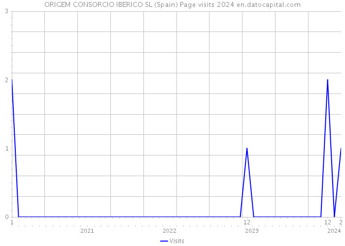 ORIGEM CONSORCIO IBERICO SL (Spain) Page visits 2024 
